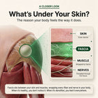 TrueForm® Revaliss Lab Fascia Release N