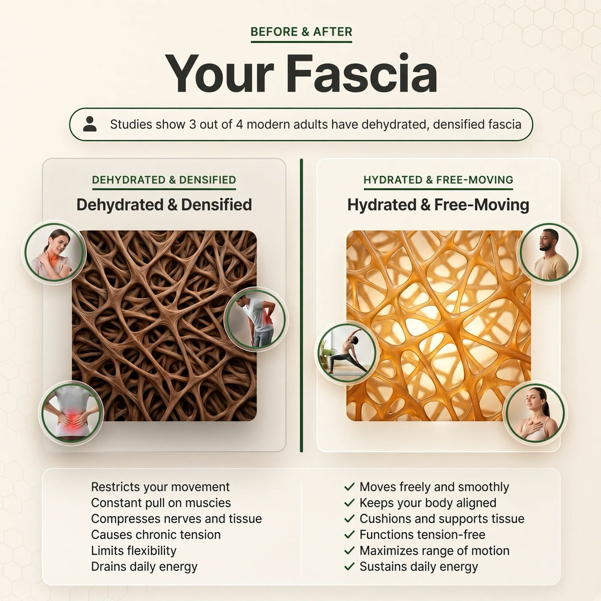 TrueForm® Revaliss Lab Fascia Release -