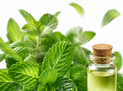 Aceite de menta