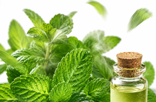 Aceite de menta