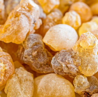 Boswellia Extract