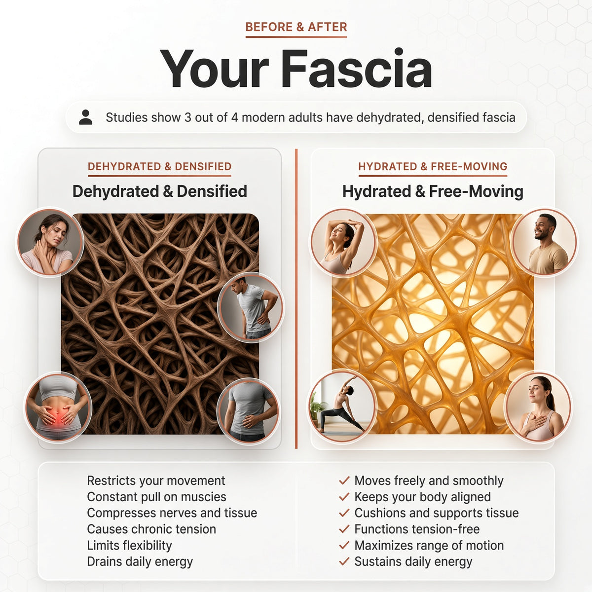 TrueForm® Revaliss Lab Fascia Release